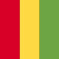 Consumer Lifestyles in Guinea 2025