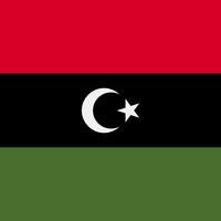 Libya Country Profile 2025