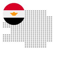 Bush in Egypt City Profile Report 2023