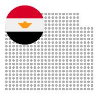 Faqus in Egypt City Profile Report 2023