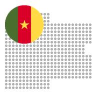 Foumbot in Cameroon City Profile Report 2023