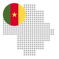 Guider in Cameroon City Profile Report 2023