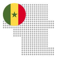 Madina Gounass in Senegal City Profile Report 2023