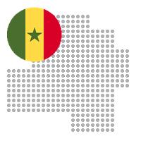 Kaffrine in Senegal City Profile Report 2023