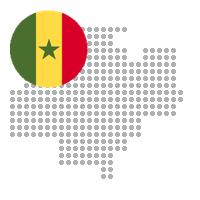 Kaolack in Senegal City Profile Report 2023