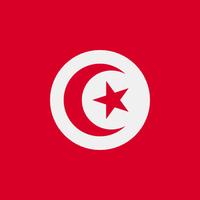 The Grocery Retail Market in Tunisia to 2028