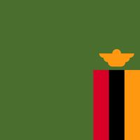 The Grocery Retail Market in Zambia to 2028